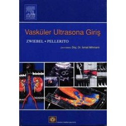 Vasküler Ultrasona Giriş