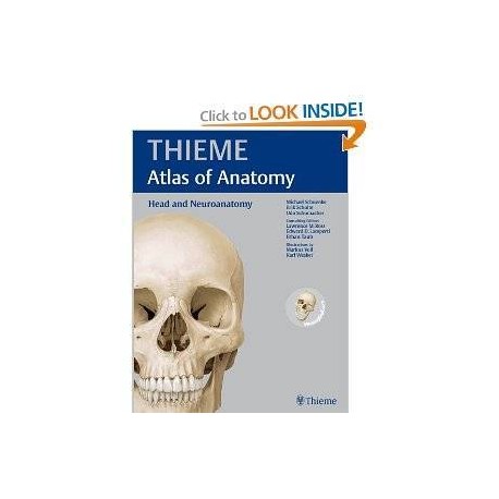 Head and Neuroanatomy (THIEME Atlas of Anatomy) 