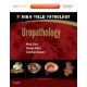 Uropathology