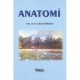 Anatomi