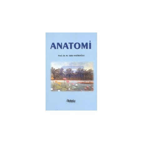 Anatomi