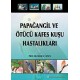 Papağangil ve Ötücü Kafes Kuşu Hastalıkları