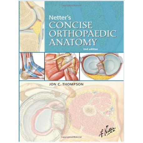 Netter's Concise Orthopaedic Anatomy, Updated Edition, 2e (Netter Basic Science)