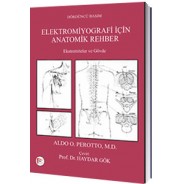 Elektromiyografi için Anatomik Rehber, Ekstremiteler ve Gövde