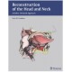 Reconstruction of the Head and Neck: A Defect-Oriented Approach 1st Edition