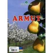 Armut