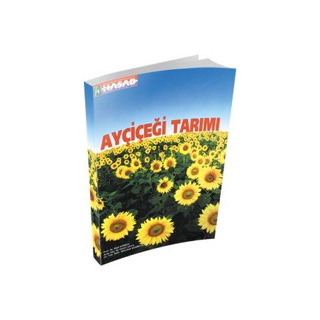 Ayçiçeği Tarımı