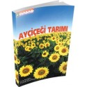 Ayçiçeği Tarımı