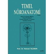 Temel Nöroanatomi