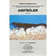 Amfibiler