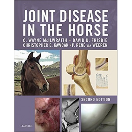 Joint Disease in the Horse