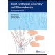 Hand and Wrist Anatomy and Biomechanics: A Comprehensive Guide