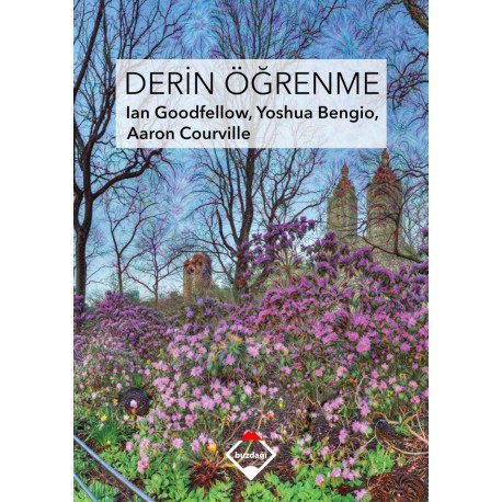 Derin Öğrenme