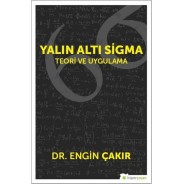 Yalın Altı Sigma: Teori ve Uygulama