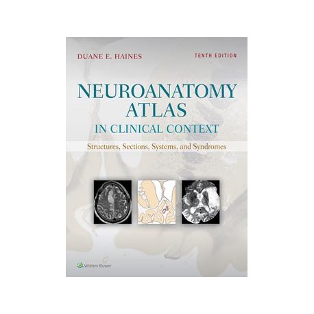 Neuroanatomy Atlas in Clinical Context