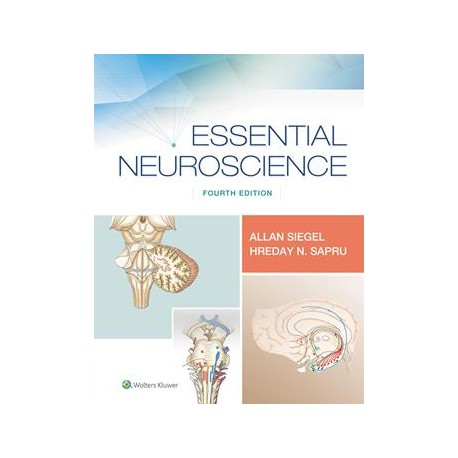 Essential Neuroscience