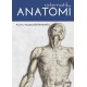 Sistematik ANATOMİ