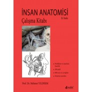 İnsan Anatomisi Çalışma Kitabı