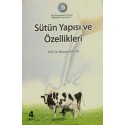 Sütün Yapısı ve Özellikleri