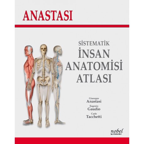 Top Ten Insan Anatomisi Cizim Kitabi