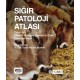 Sığır Patoloji Atlası