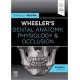 Wheeler's Dental Anatomy, Physiology and Occlusion