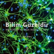 Bilim Güzeldir - Mikroskop Altında İnsan Vücudu