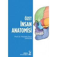 Özet İnsan Anatomisi