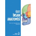 Özet İnsan Anatomisi