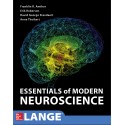 Essentials of Modern Neuroscience