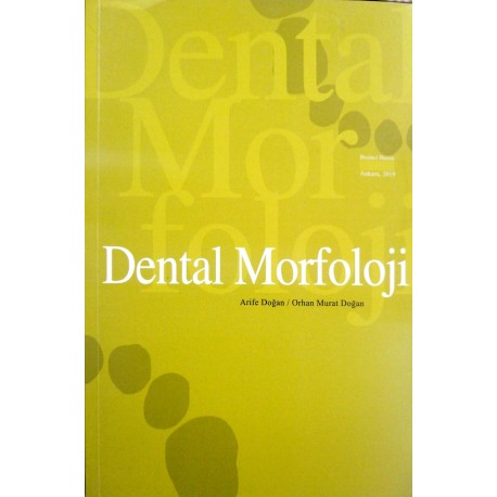 Dental Morfoloji