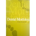 Dental Morfoloji - Arife Doğan