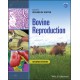 Bovine Reproduction, 2nd Edition