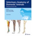 Veterinary Anatomy of Domestic Animals