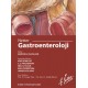 Netter Gastroenteroloji