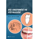 Diş Anatomisi ve Fizyolojisi