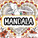 Mandala 2 - Akademisyen Boyama