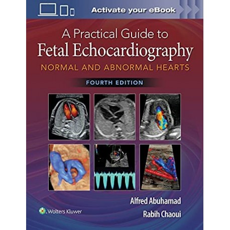 A Practical Guide to Fetal Echocardiography: Normal and Abnormal Hearts Hardcover