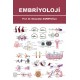 Embriyoloji