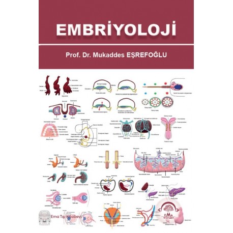 Embriyoloji