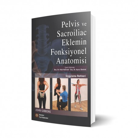 Pelvis Ve Sacroiliac Eklemin Fonksiyonel Anatomisi Uygulama Rehberi