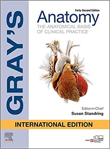 The Anatomical Basis of Clinical Practice 42nd Edition