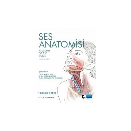 SES ANATOMİSİ - Anatomy Of The Voice