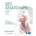 SES ANATOMİSİ - Anatomy Of The Voice