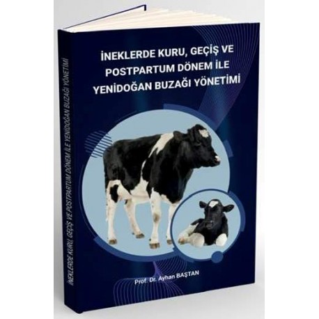 İneklerde Kuru Geçiş Ve Postpartum Dönem İle Yeni Buzağı Yönetimi