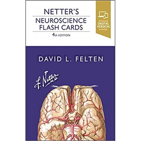 Netter's Neuroscience Flash Cards, 4th Edition