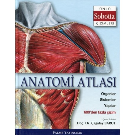 Anatomi Atlası (Sobotta Çizimleri)