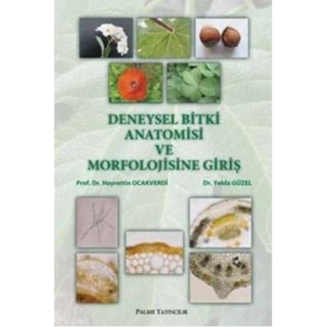 Deneysel Bitki Anatomisi ve Morfolojisine Giriş