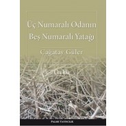 Üç Numaralı Odanın Beş Numaralı Yatağı