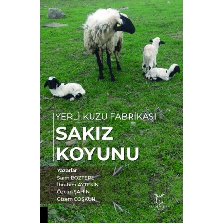 Yerli Kuzu Fabrikası Sakız Koyunu